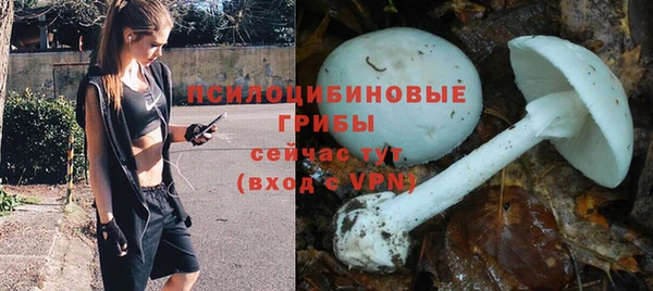 ГАЛЛЮЦИНОГЕННЫЕ ГРИБЫ Баксан