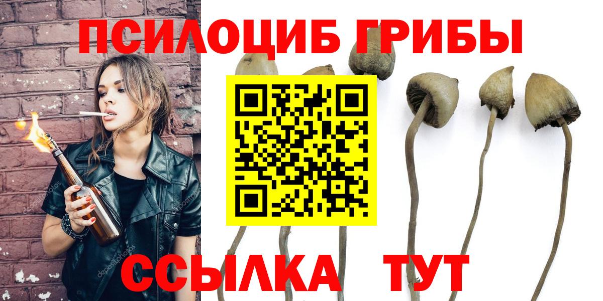 Петровск  Псилоцибиновые грибы Psilocybine cubensis  Вход с VPN  Галлюциногенные грибы Psilocybine cubensis 
